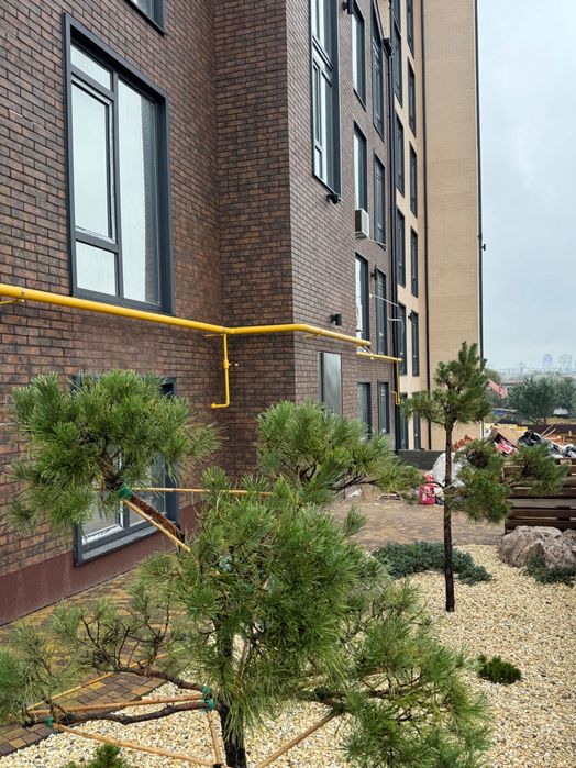 ГАЗ! смарт квартира 20 м2 Софіївська Борщагівка Oazis Hills забудовник