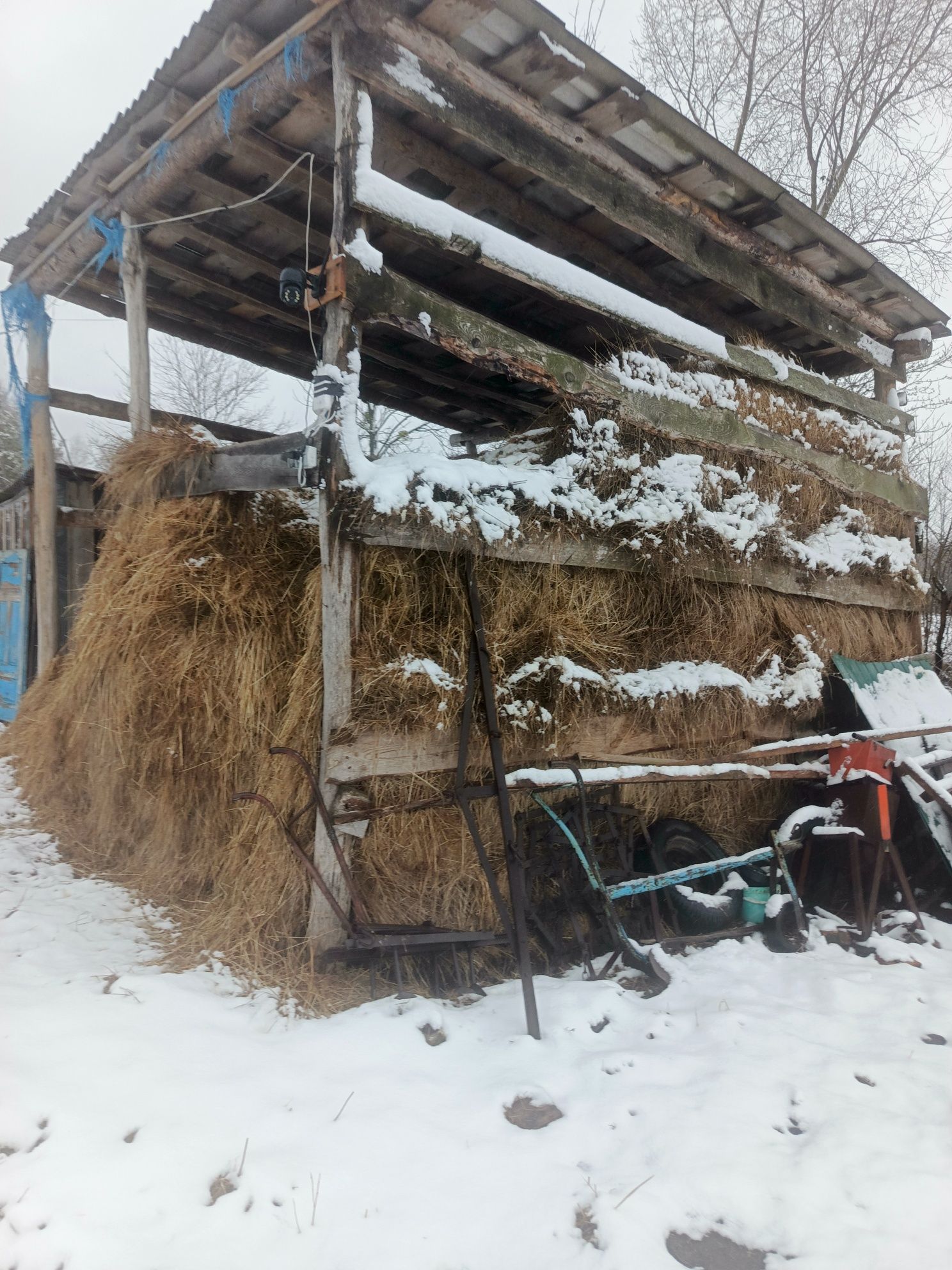 Сіно природніх трав