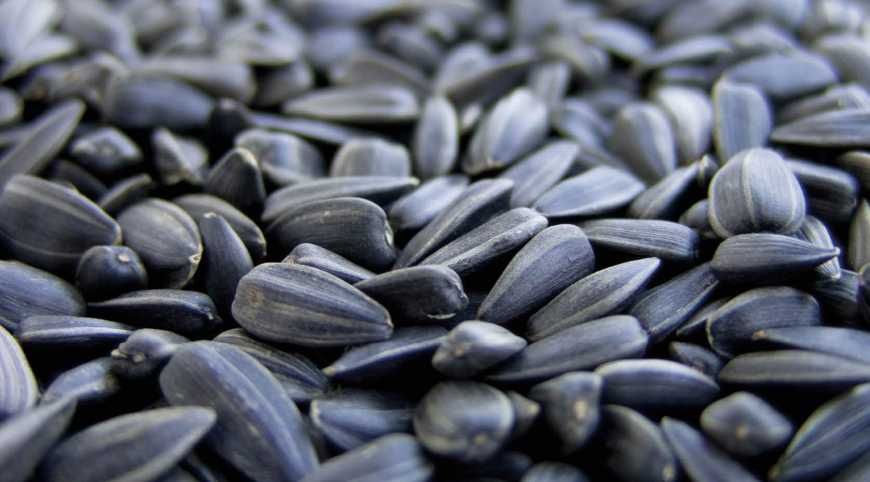 Кондитерське соняшник насіння/зернята