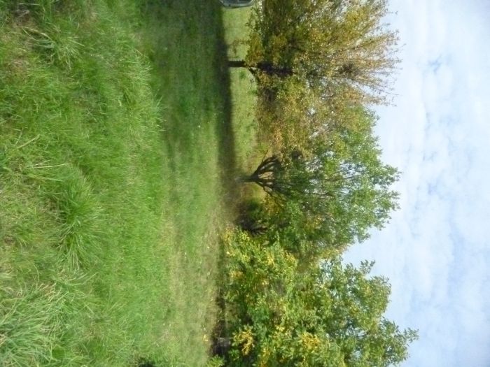 Продам участок земли 10 сот.