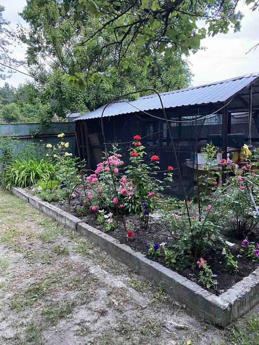 Продам дом в пгт Васищево