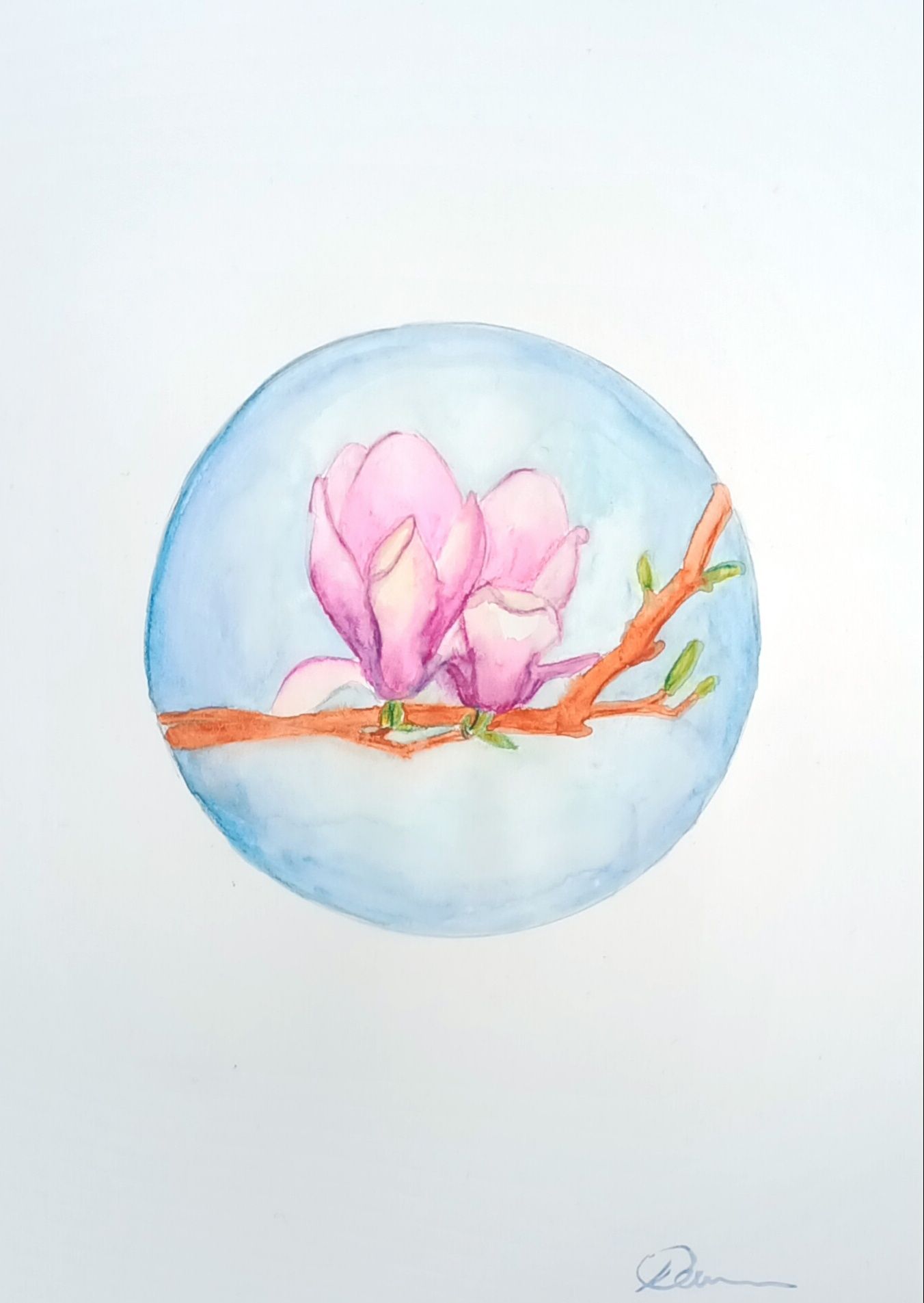 Obrazek akwarela magnolia
