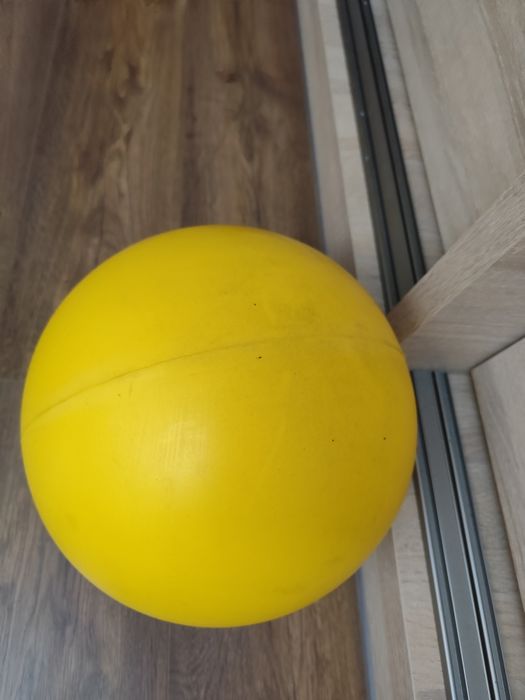Piłka dla psa plastikowa