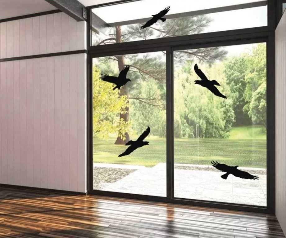 Naklejki na szyby – ochrona ptaków. Nie Chińskie