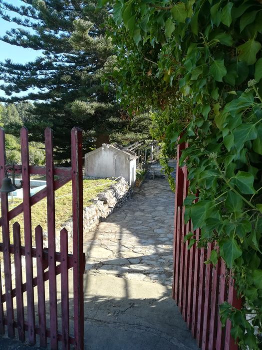 Casa para alugar