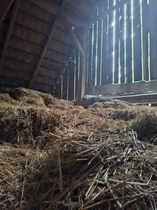 Oddam starą słomę