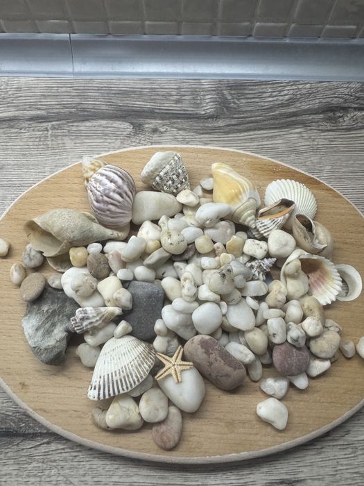 Камінчики та мушлі( ракушки) для акваріума чи декору.