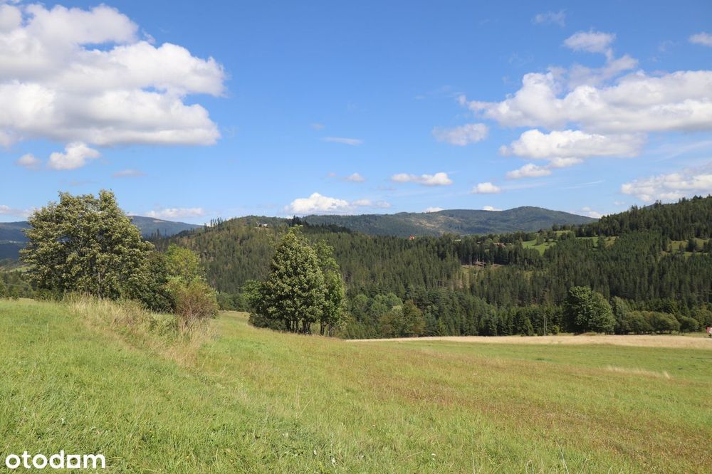 Działka do zabudowy, ok. 800mnpm, widok na góry i las