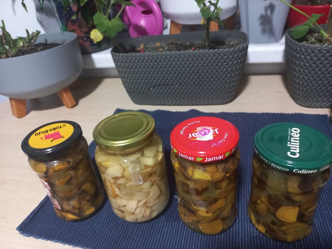 Sprzedam zestaw  grzybów