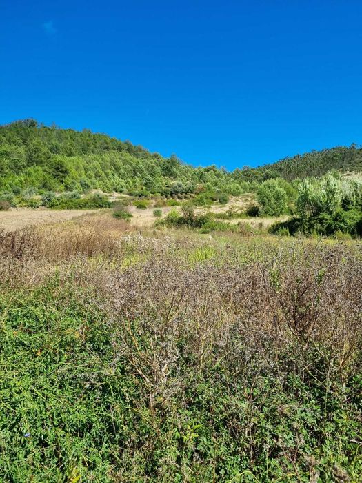 Terreno agricola e florestal - 3€/m2