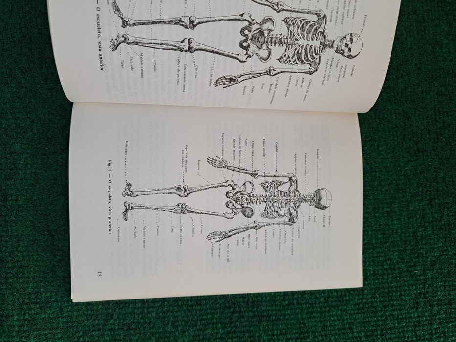 Manual Prático de Massagem - Doutor J. E. Ruffier