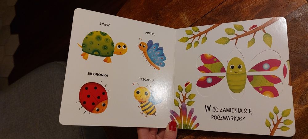 Książeczka ruchoma