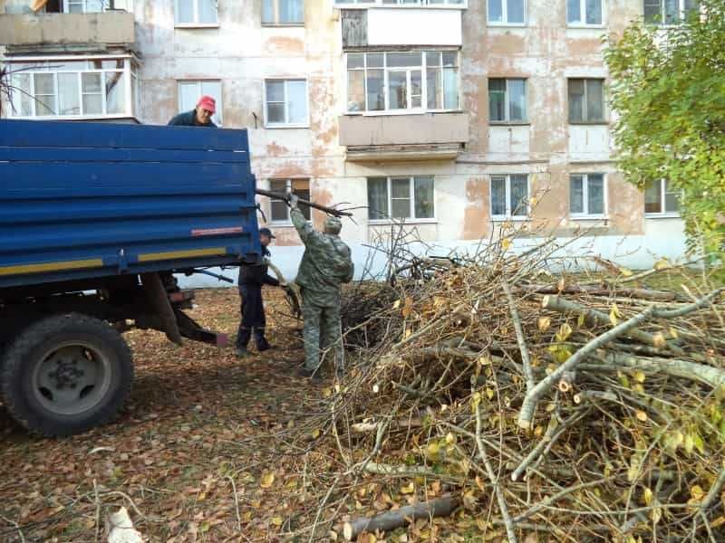 Корчовка пней обрезка сада спил деревъев вывоз мусора дробилка веток