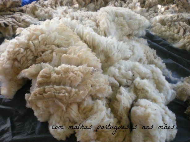 Lã de ovelha merina - Baixo Alentejo (natural)