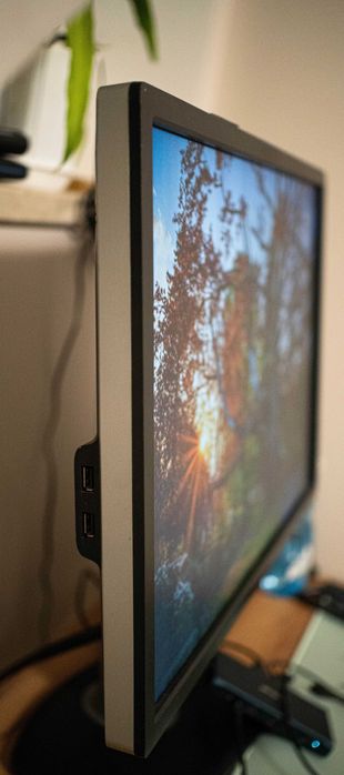 Monitor Dell 2412m! 16:10! 1920x1200 Polecam!