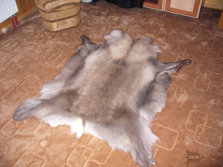 Олень, шкура з оленя, шкура диких тварин