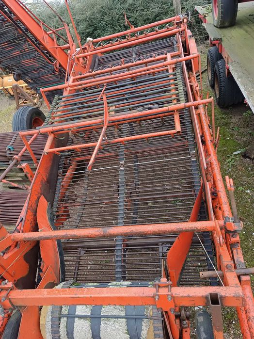 AMAC d2 zbieraczka kopaczka kombajn do zbierania cebuli zbioru warzyw