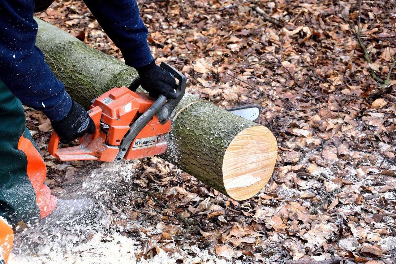 kurs szkolenie pilarz, piły spalinowe, kosy, rębaki do drewna, trak