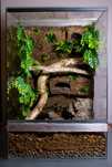 Terrarium 45x45x60 dla gekona orzesionego