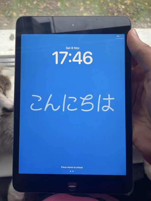 Дисплей iPad mini 5