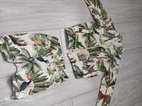 Komplet dla chłopca na lato 104/110 tropikalne wzory bluza k