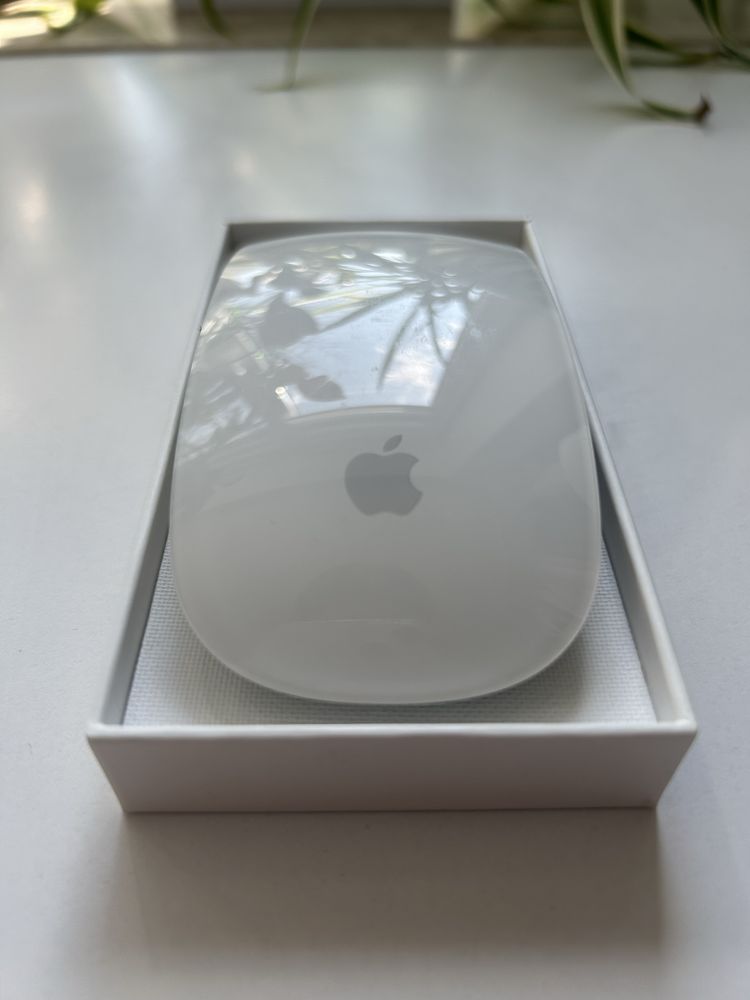 Magic Mouse 2-Apple