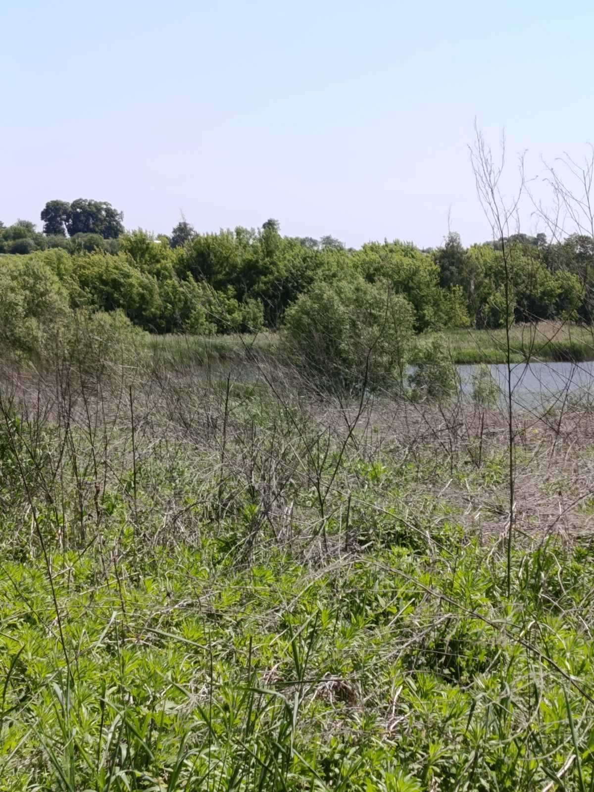 Продаж земельної ділянки с.Стави, Кагарлицький район З ВИХОДОМ ДО ВОДИ