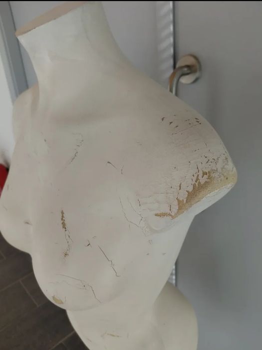 Manequim - torso feminino