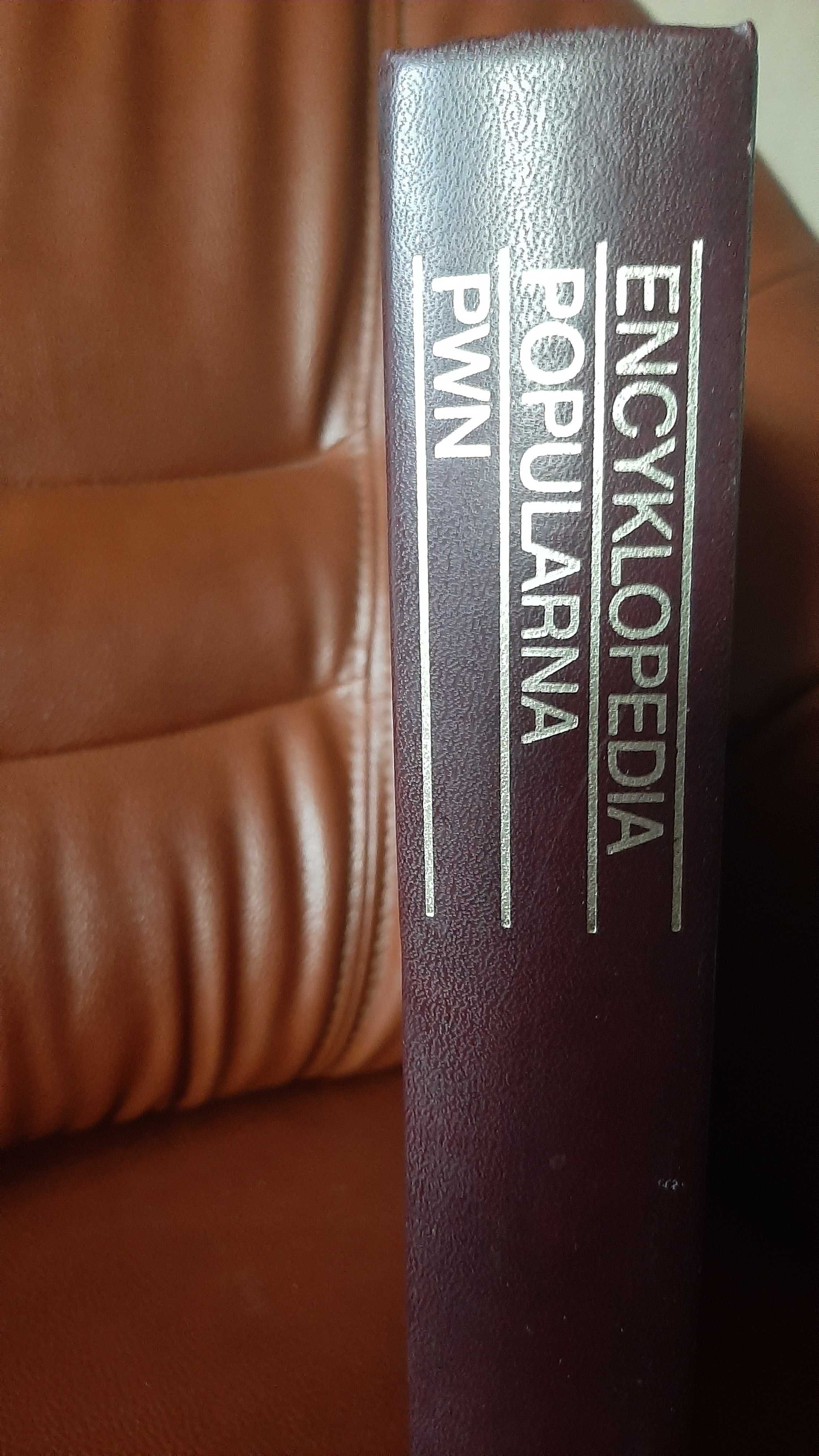 Encyklopedia Popularna PWN
