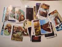 95 Cromos Ice Age 3