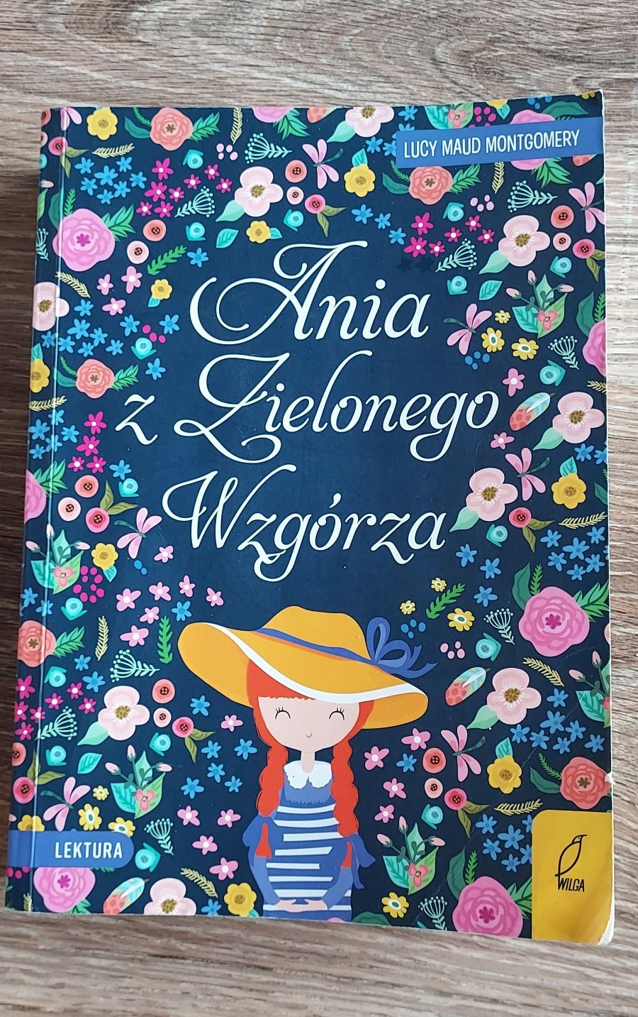 Ania z Zielonego Wzgórza