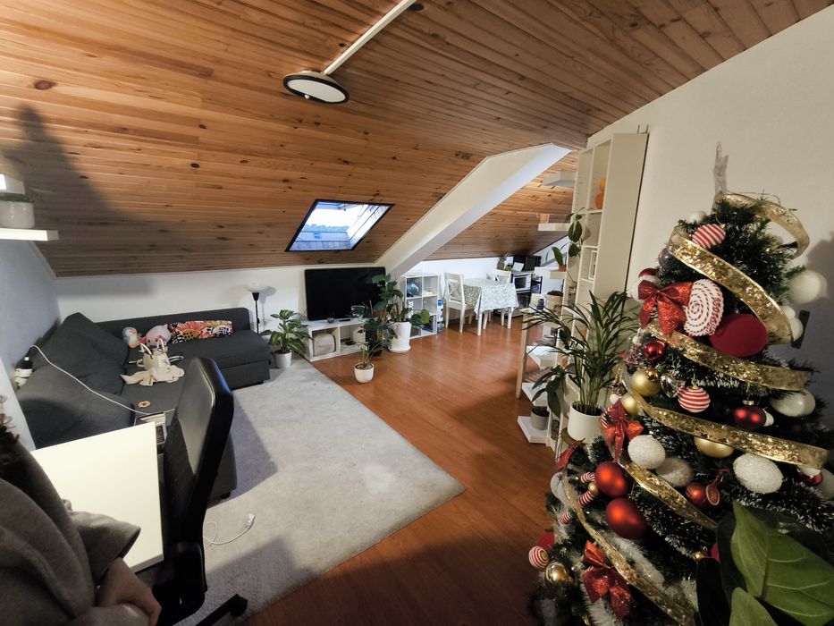 Arrendamento t0 janeiro 2026