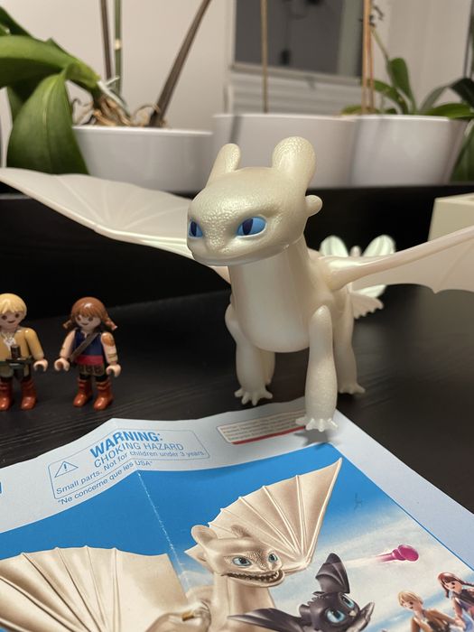 Playmobil 70038 Dragons - Jak wytresować smoka