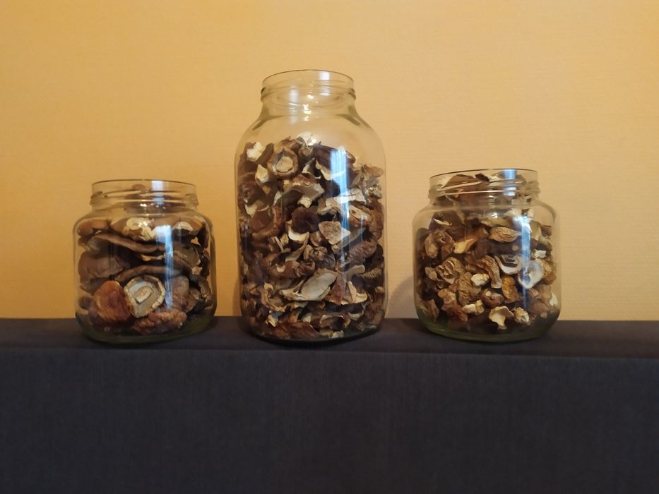 Grzyby suszone prawdziwek borowik podgrzybek