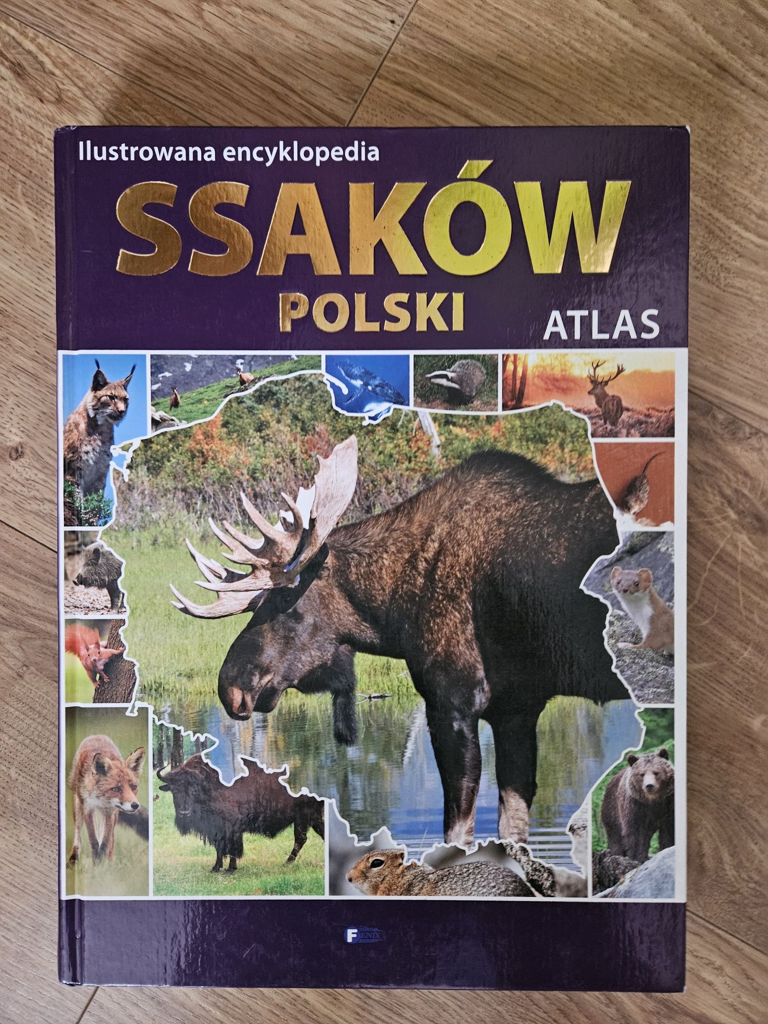 Atlas Ilustrowana Encyklopedia Ssaków Polski,