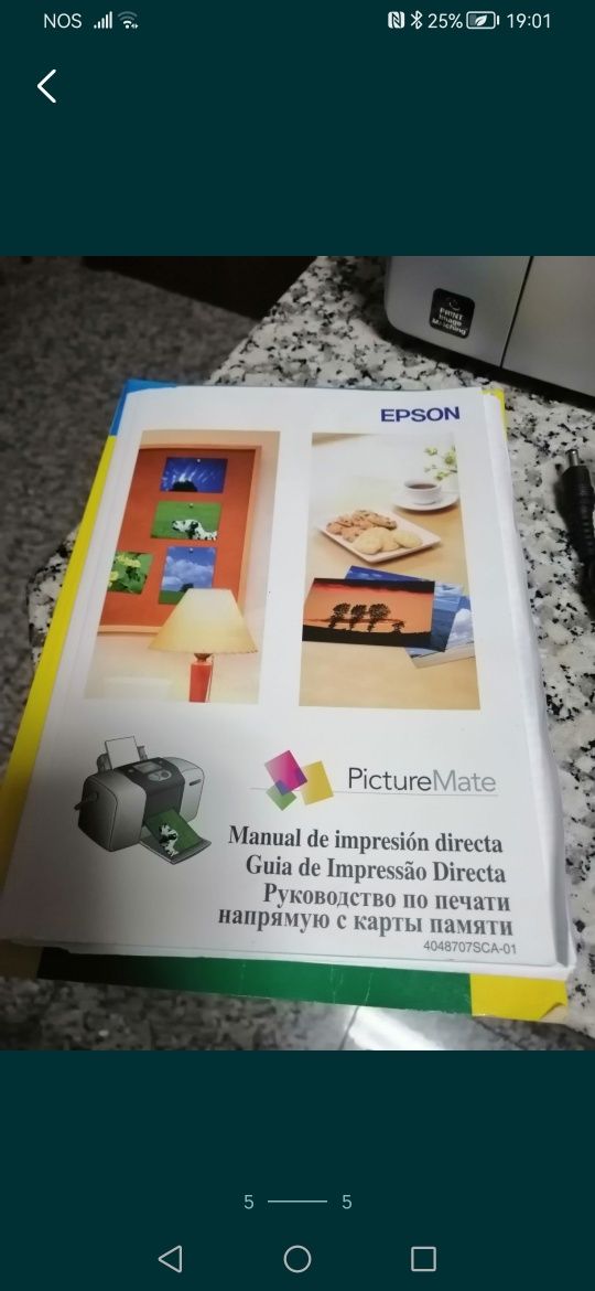 Epson Picture Mate Photo