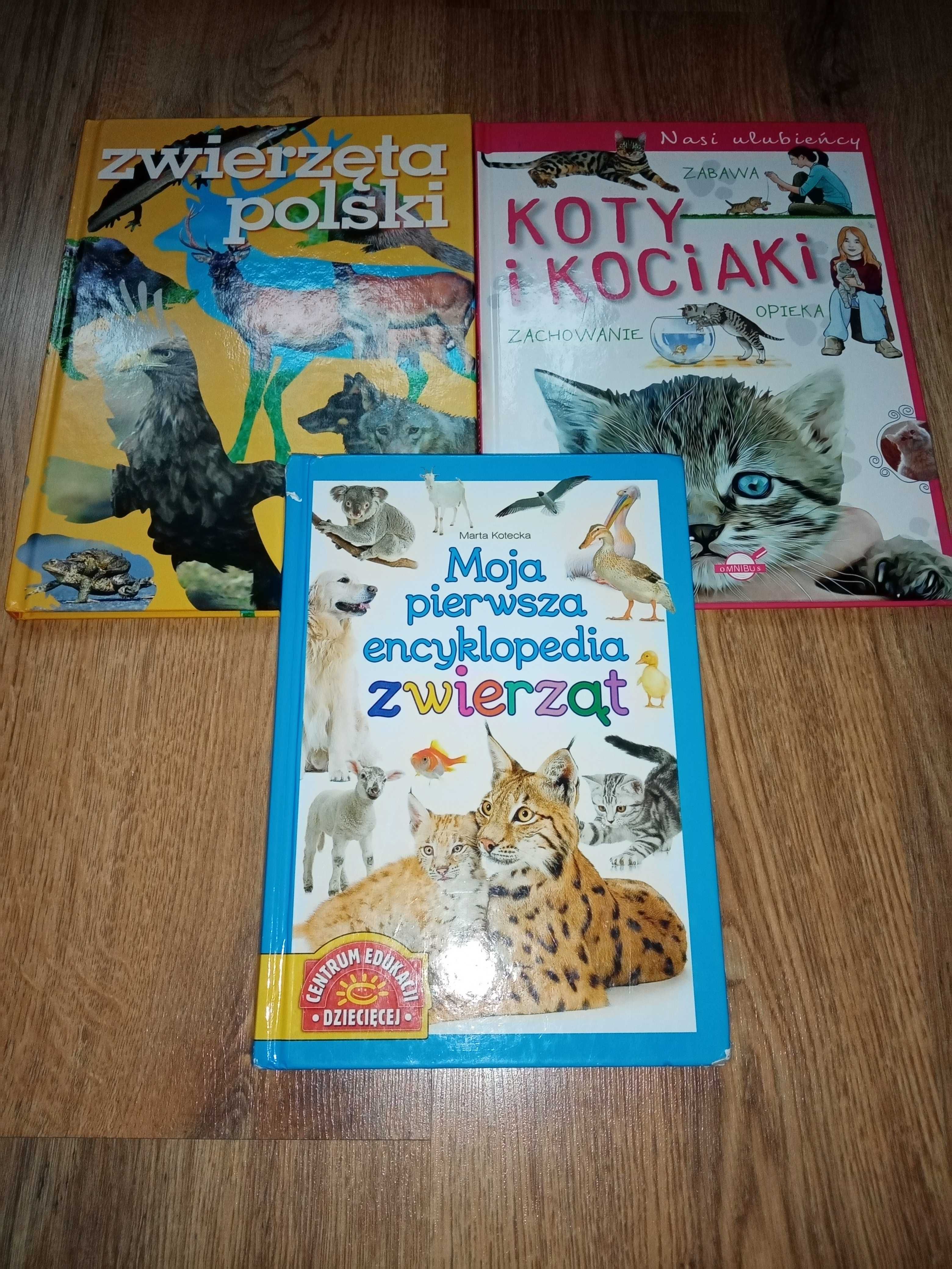 Zwierzęta Polski - Moja pierwsza encyklopedia zwierząt - Koty