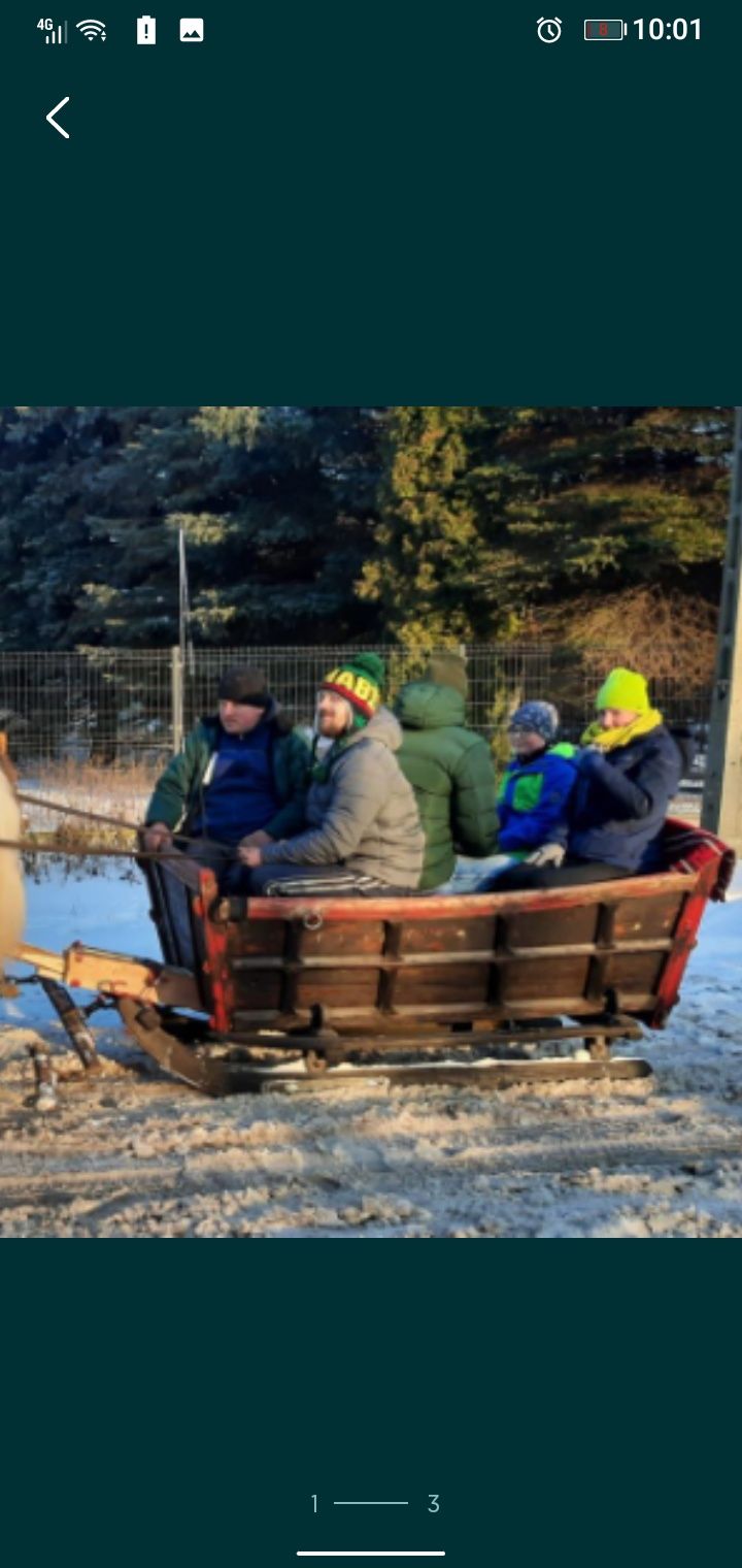Sanie konne / sześcio osobowe