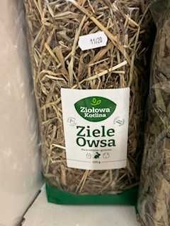 ziele owsa dla gryzoni GRUBY KOCUR sklep zoologiczny