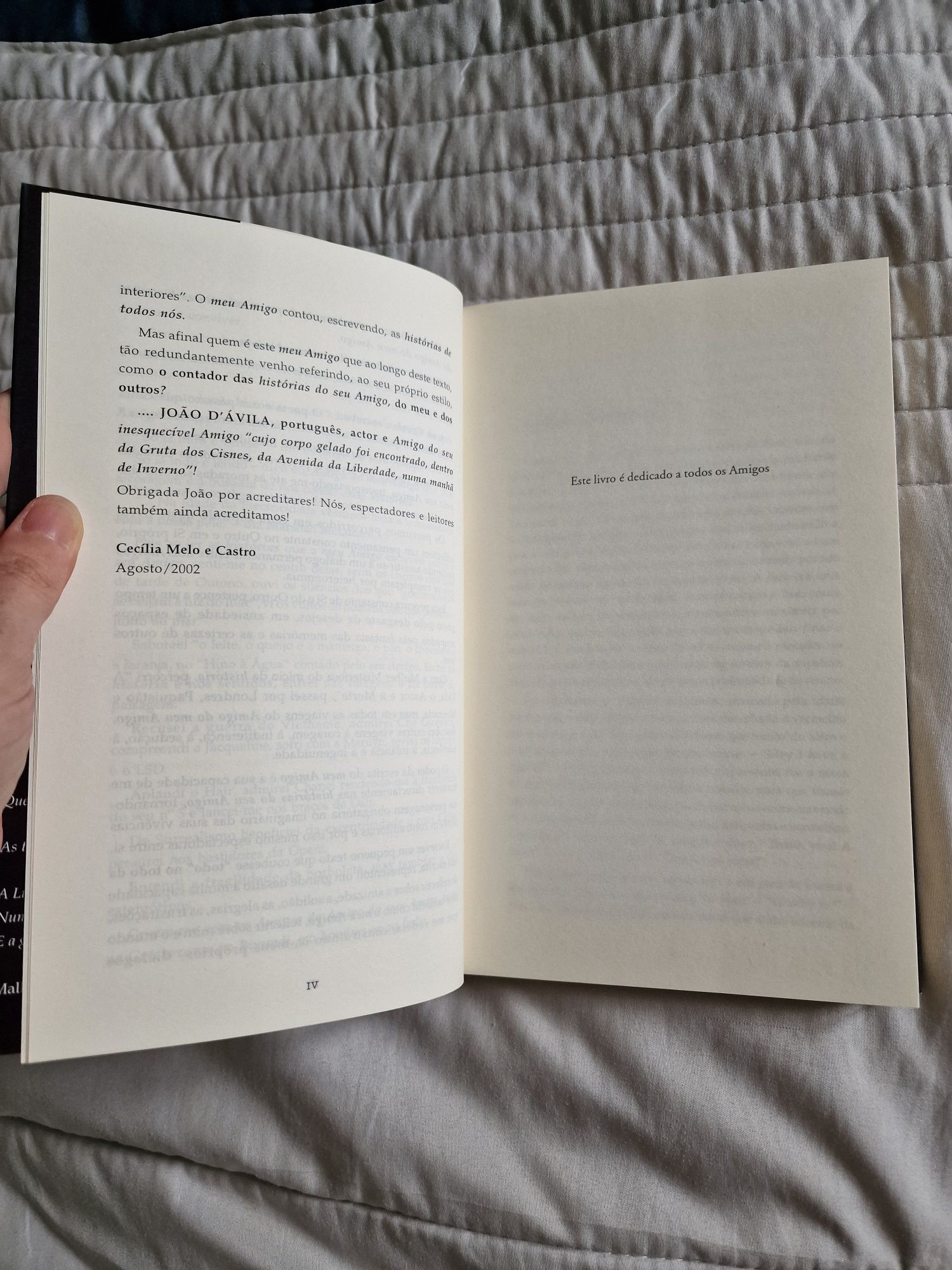 A Gruta dos Cisnes de João D'Ávila Editora Hugin