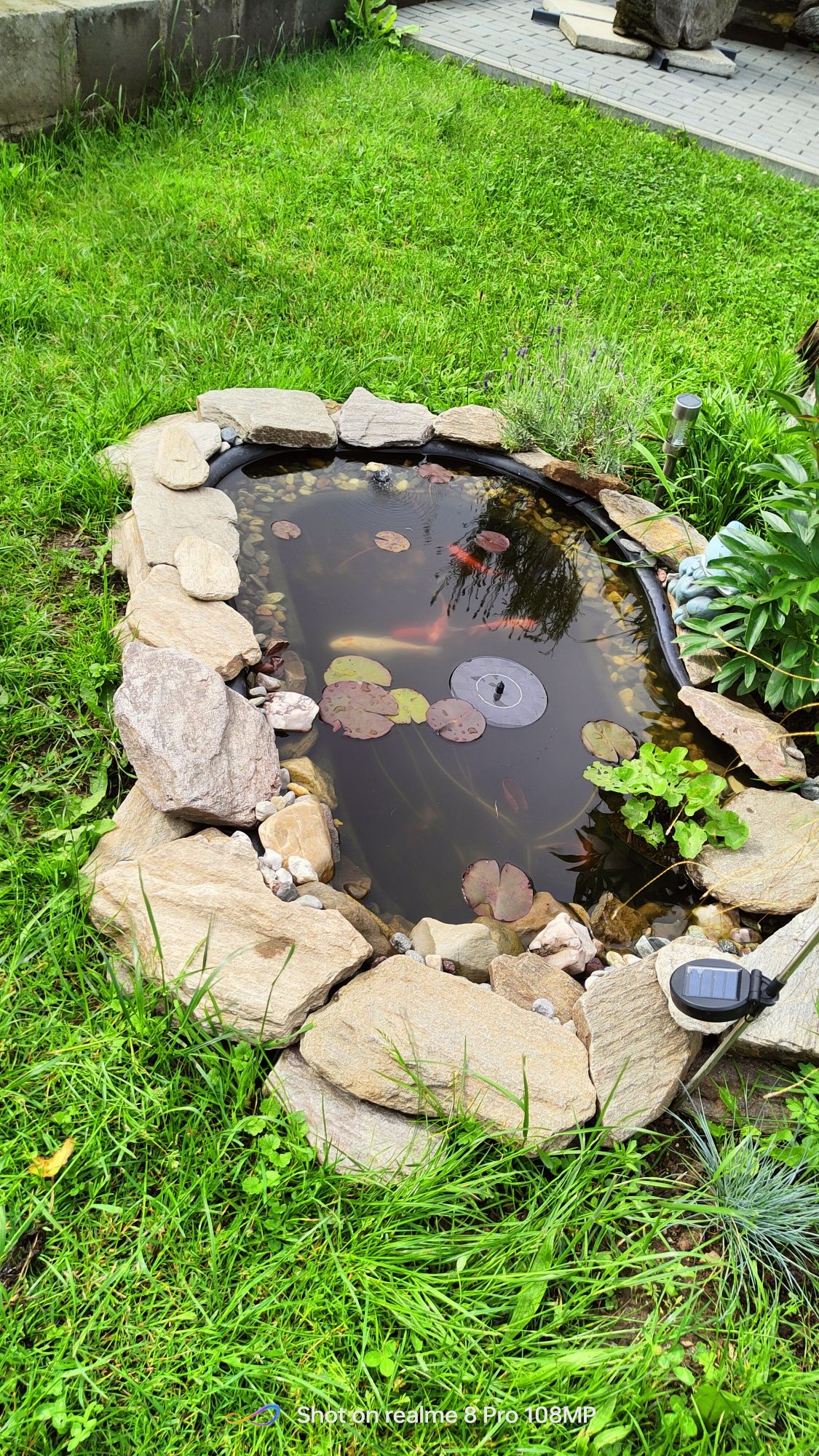 Albinka Pokoje gościnne, kwatera prywatna, apartament, nocleg