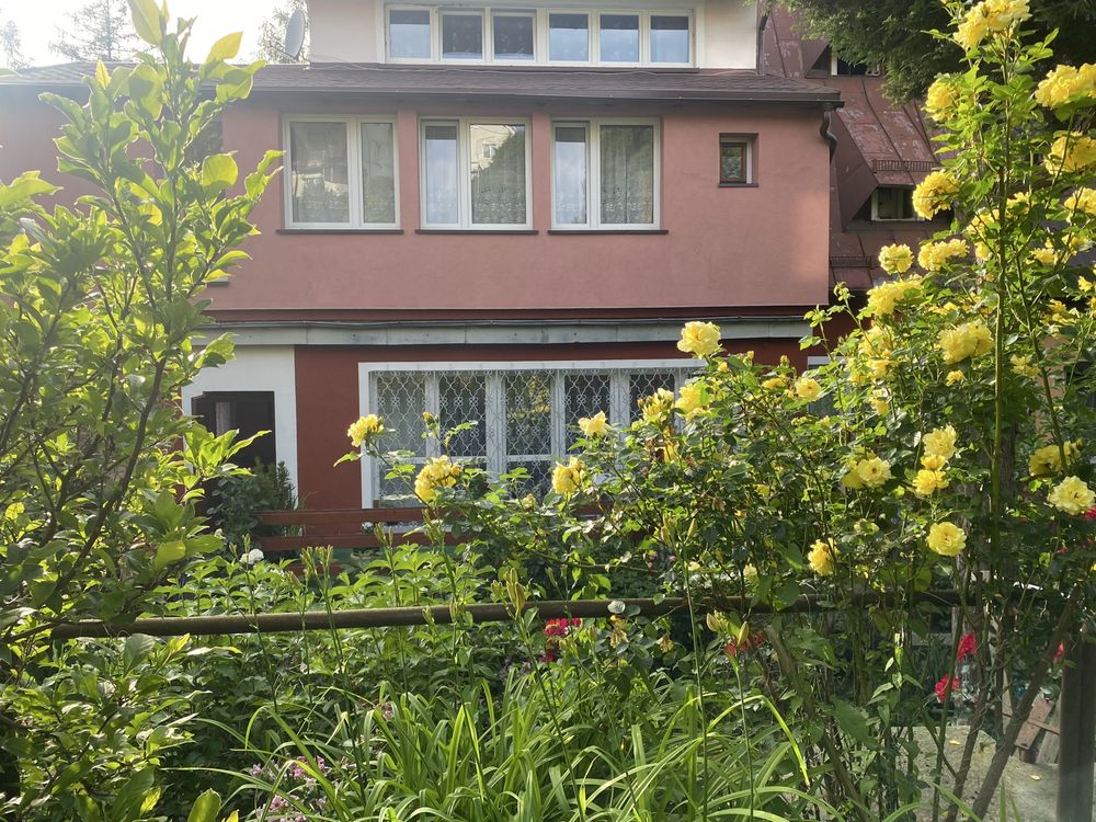 Wolne Noclegi apartament,pokój, kwatera Duszniki Zdroj w  górach