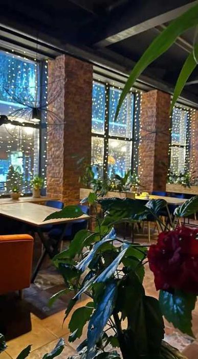 Гірлянда штора роса 3х3 з гачками теплий білий 300 led USB юсб живленя