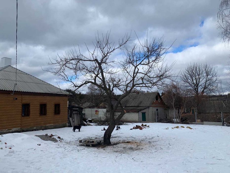 Обрезка деревьев, плодового сада. Химические обработки