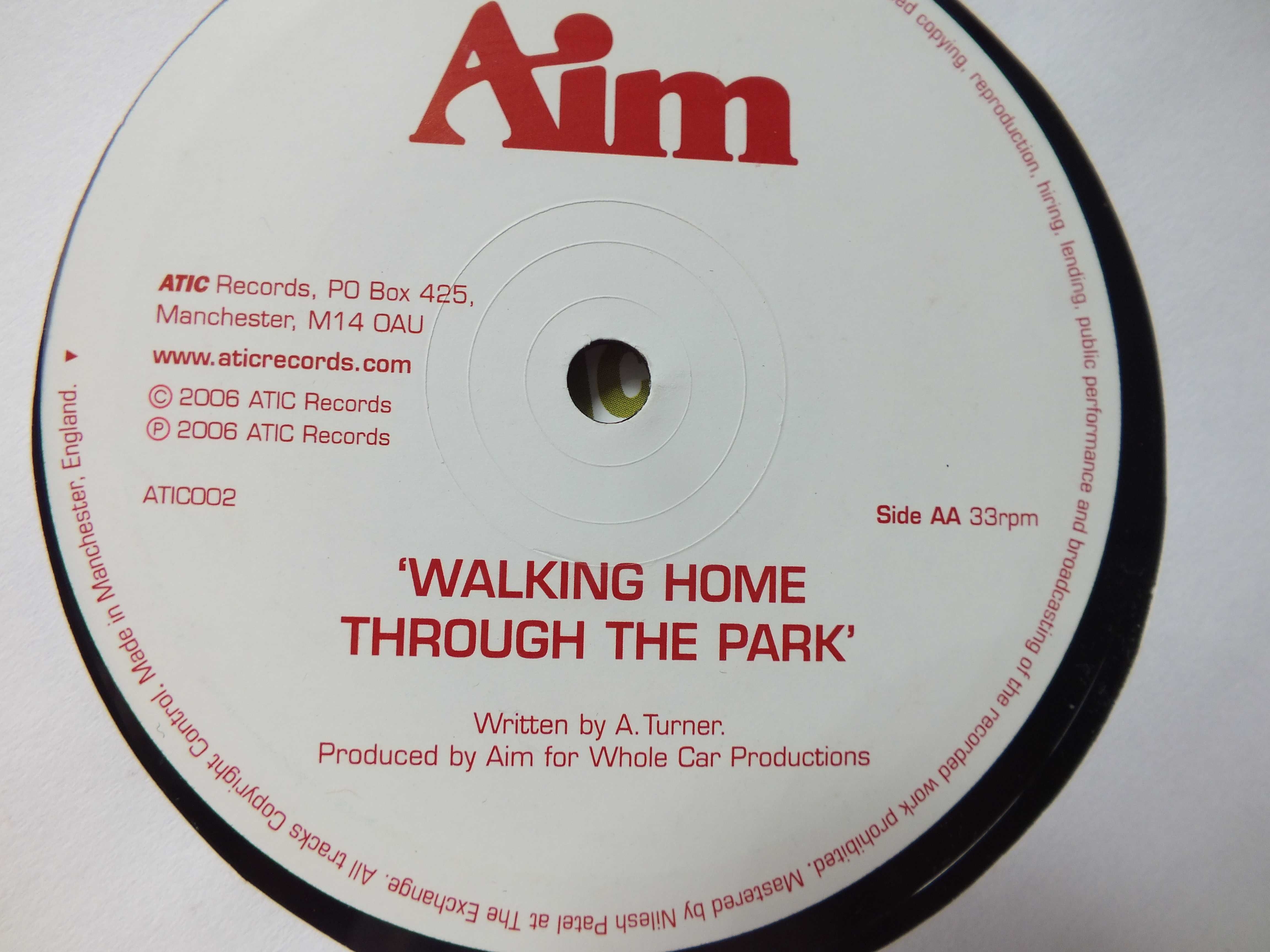 płyta winyl maxi single, AIM Andrew Turner-Northwest ,electronic danc