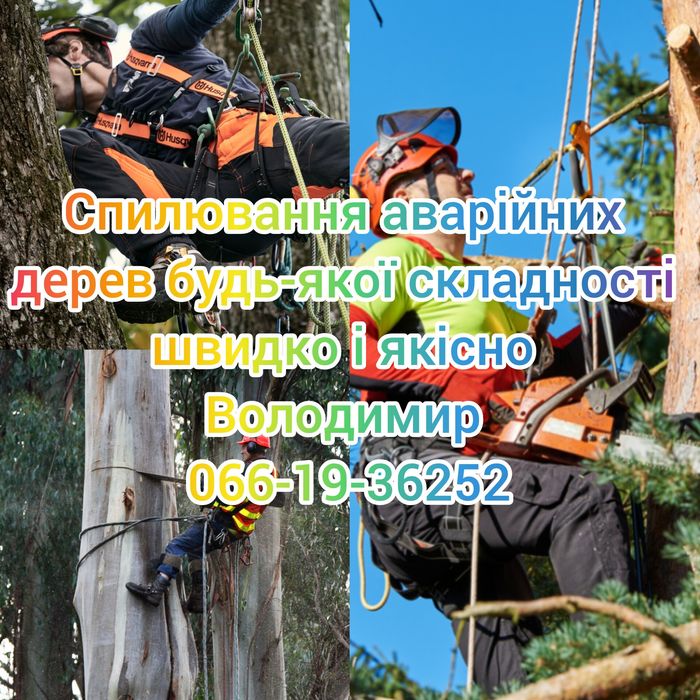 Спиляємо аварійні дерева