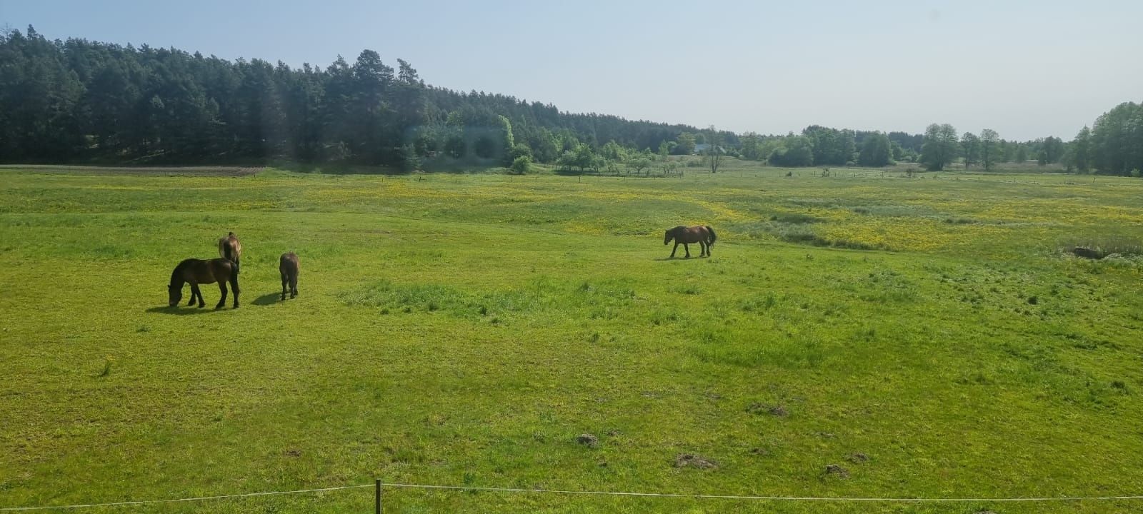 Dom na skraju lasu. Okolice Augustowa Podlaskie
