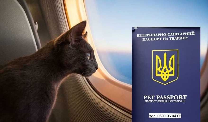 Документы животным заграницу (паспорт, титры, форма 1)