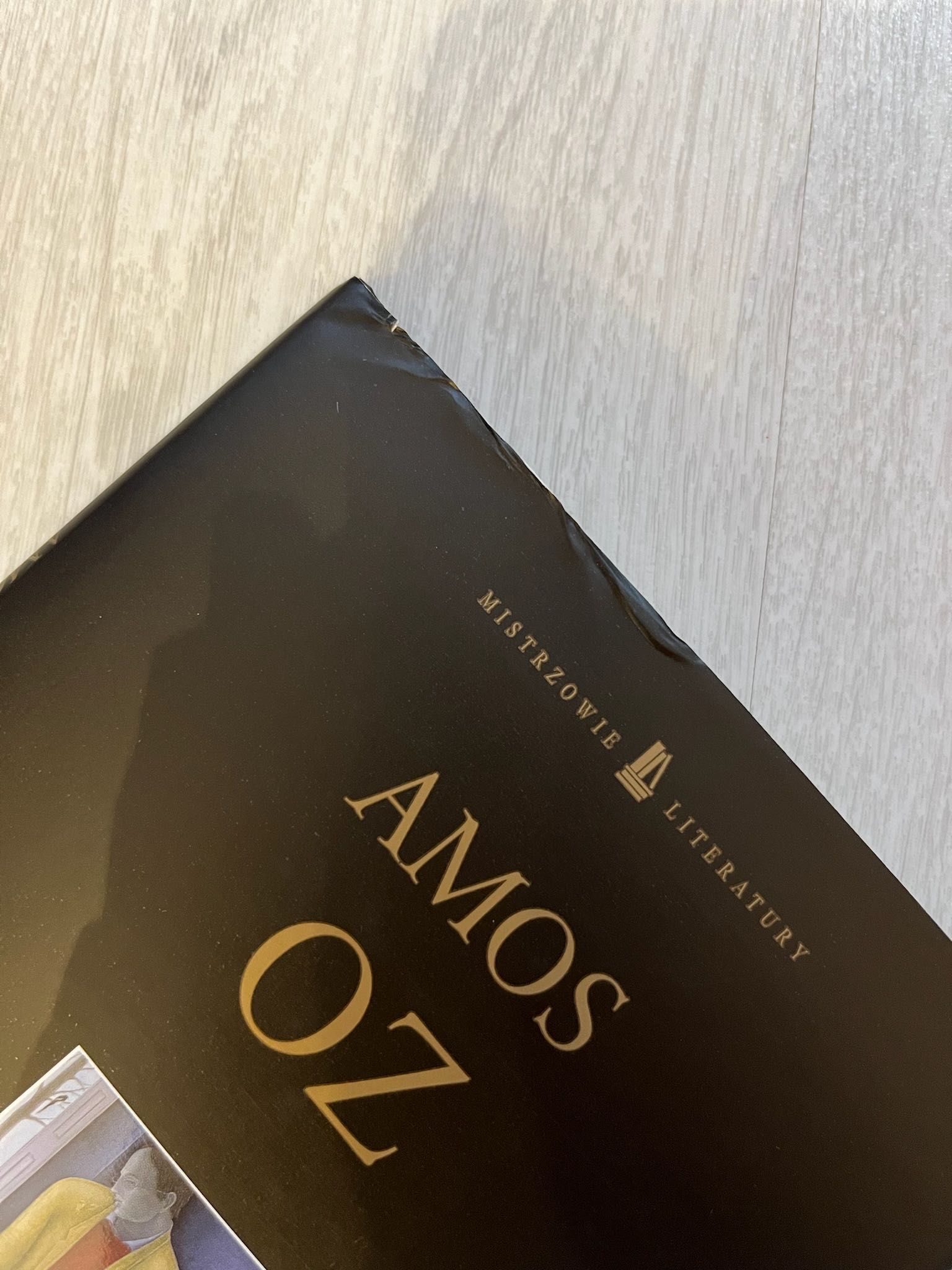 Książka Rymy życia i śmierci - Amos Oz