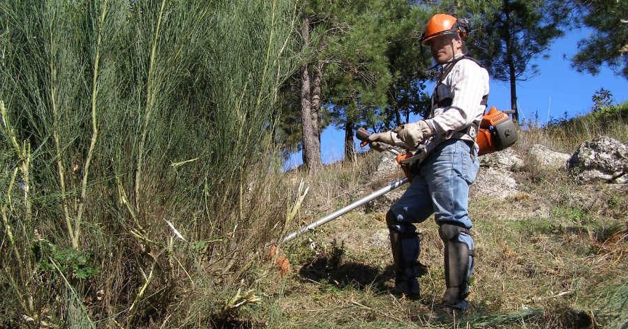 Limpeza de Terrenos com Moto-Roçadora – Rápido, Seguro e Profissional!